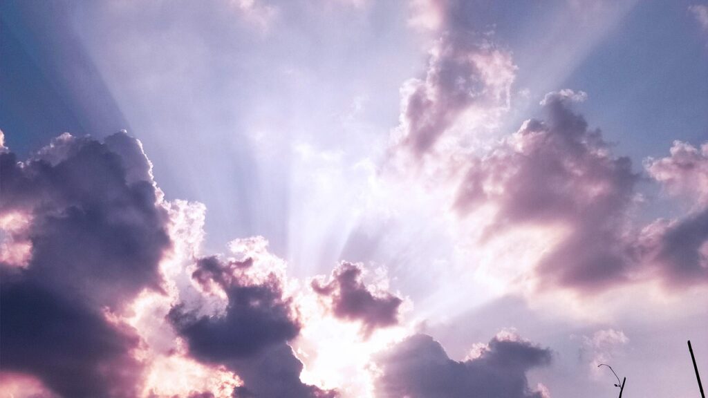 カシスパウダー効果を最大限に引き出すための活用法は？