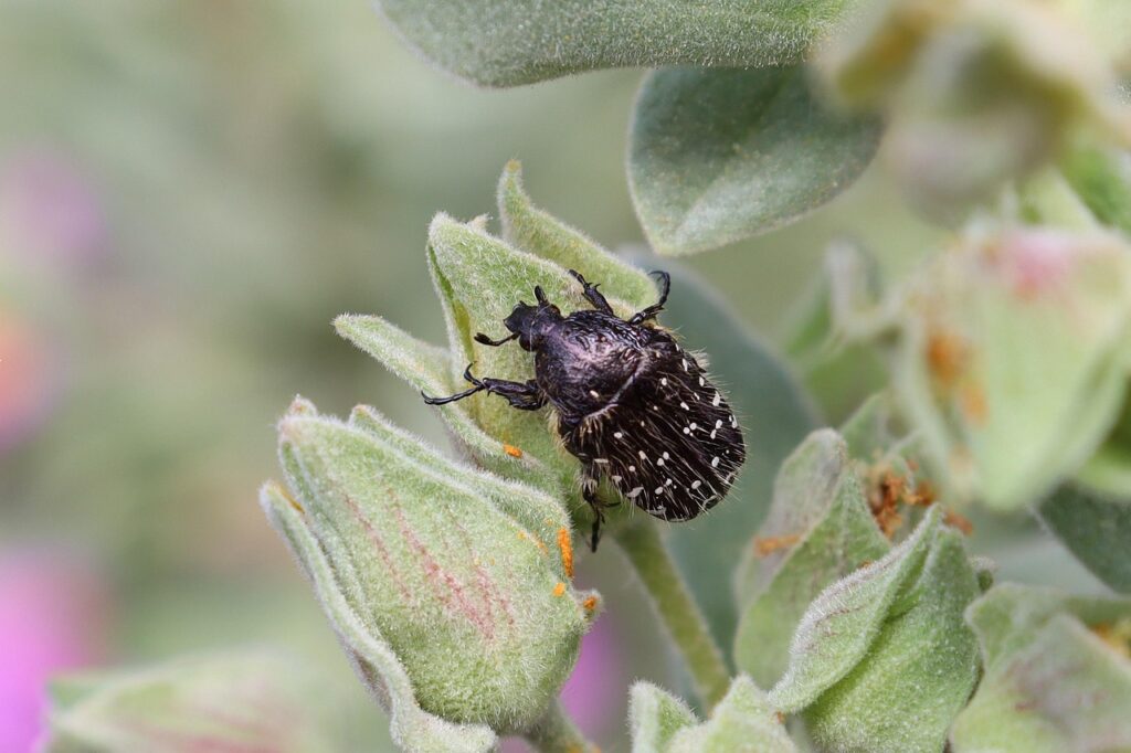 ケトン臭の効果的な消し方は？