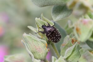 ケトン臭の消し方で効果的な対策は？
