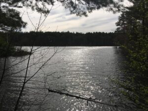 ミドル脂臭を抑えるためにおすすめの食べ物は？