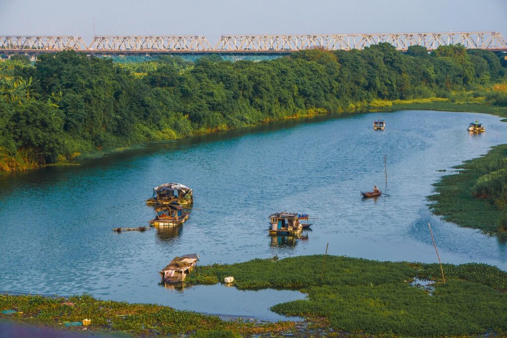 ミドル脂臭対策に効果的な食べ物は何ですか？