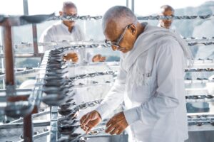 男性の体臭を抑える食べ物にはどんなものがある？