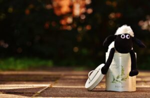 モテる体臭を作る食事の効果はいつ実感できる？